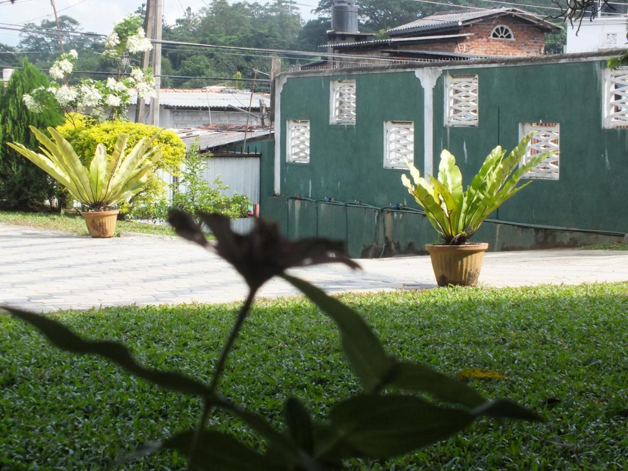 Hillsview Rest & Guest House Matale Εξωτερικό φωτογραφία