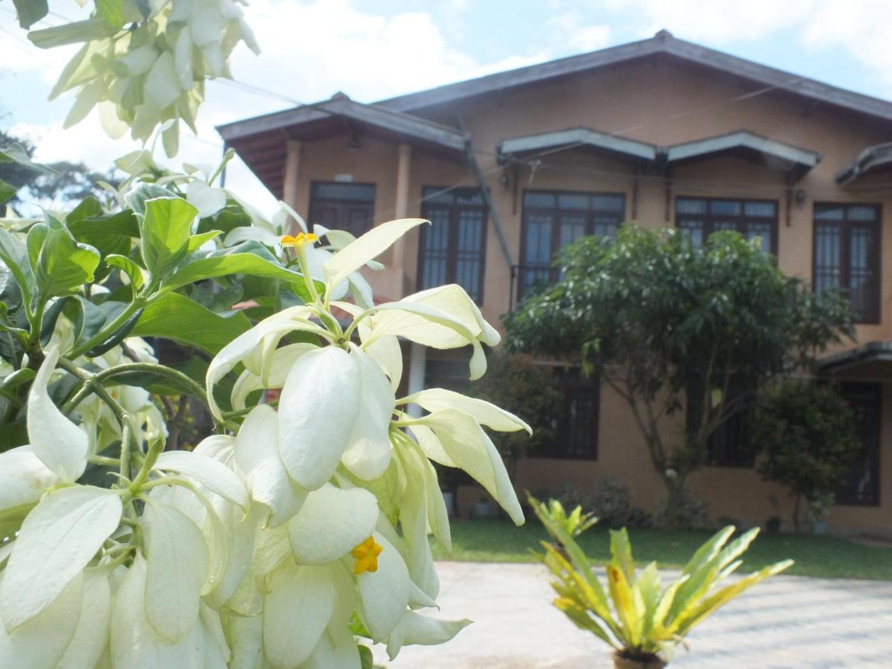 Hillsview Rest & Guest House Matale Εξωτερικό φωτογραφία
