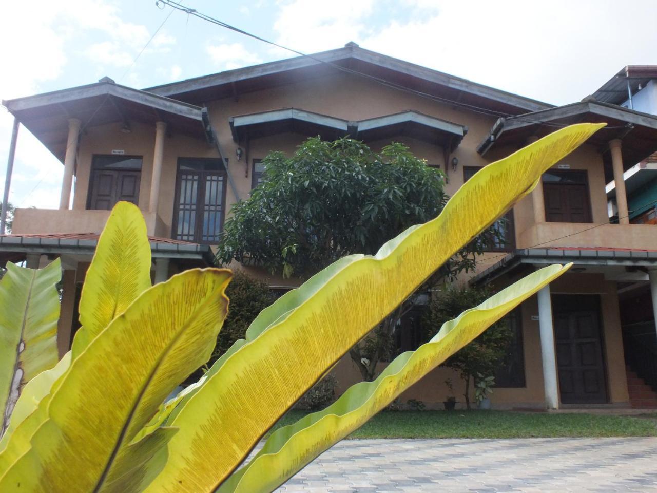Hillsview Rest & Guest House Matale Εξωτερικό φωτογραφία